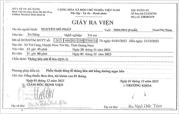 NGUYEN-HO-PHAT---GRV.