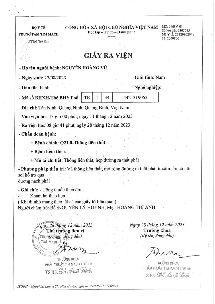 NGUYEN-HOANG-VU---GRV.