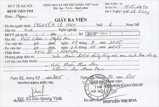 nguyen-le-huy-rv.