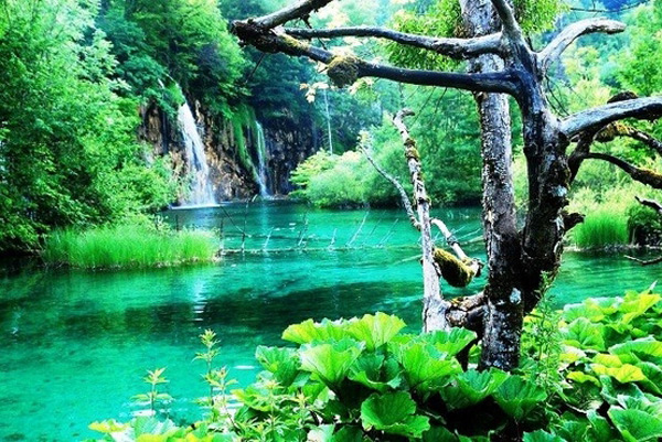 vuon_quoc_gia_Plitvice_24.