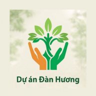 Cây Đàn Hương