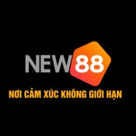 New88T5 com