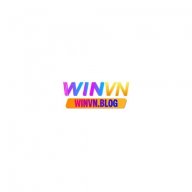 winvnblog