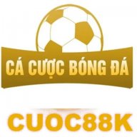 cacuocbongdainfo