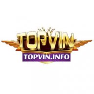 gametopvininfo