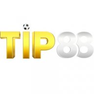 audamtip88