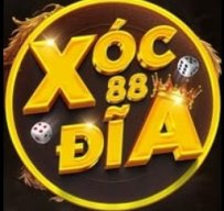 xocdia88surfing101