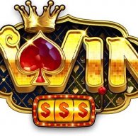 iwinstreamlinesales