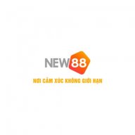 new88vnnewss