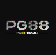 PG88forsale