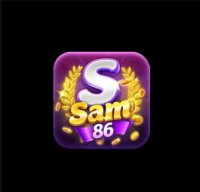 Sam86report