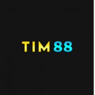 tim88art