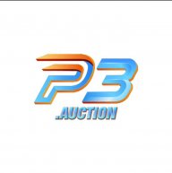 p3auction