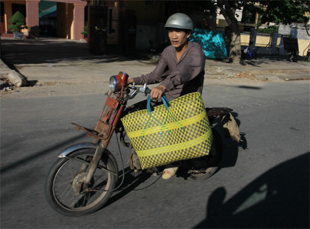 Chi Bảo