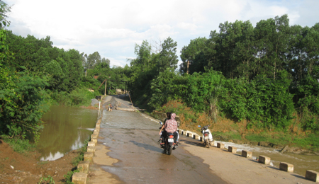 hoahuongduong