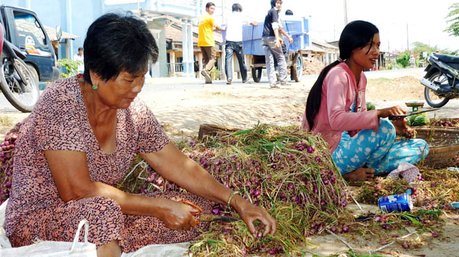 hoahuongduong