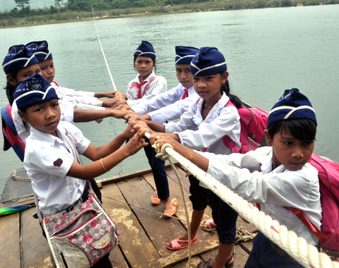 hoahuongduong