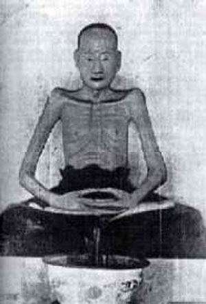 hoahuongduong